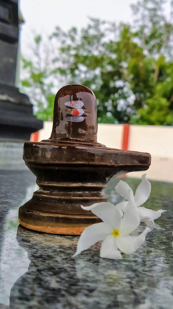Small brown Shivling with white sacred markings placed on a reflective stone surface, adorned with white flowers, with a serene natural background
