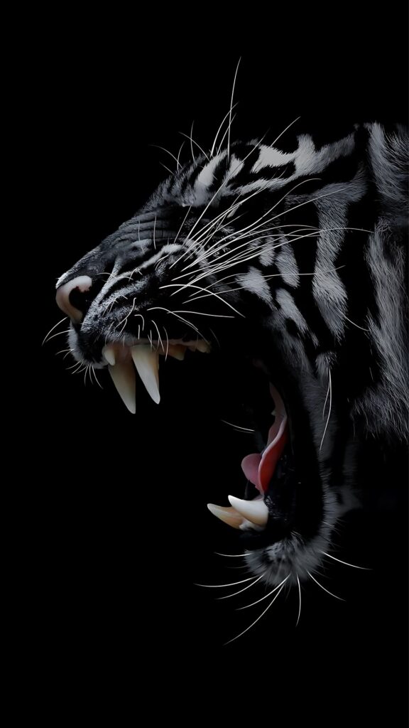 Ferocious roaring black-and-white tiger on a dark black background – ultra-realistic 64K dark mobile wallpaper.