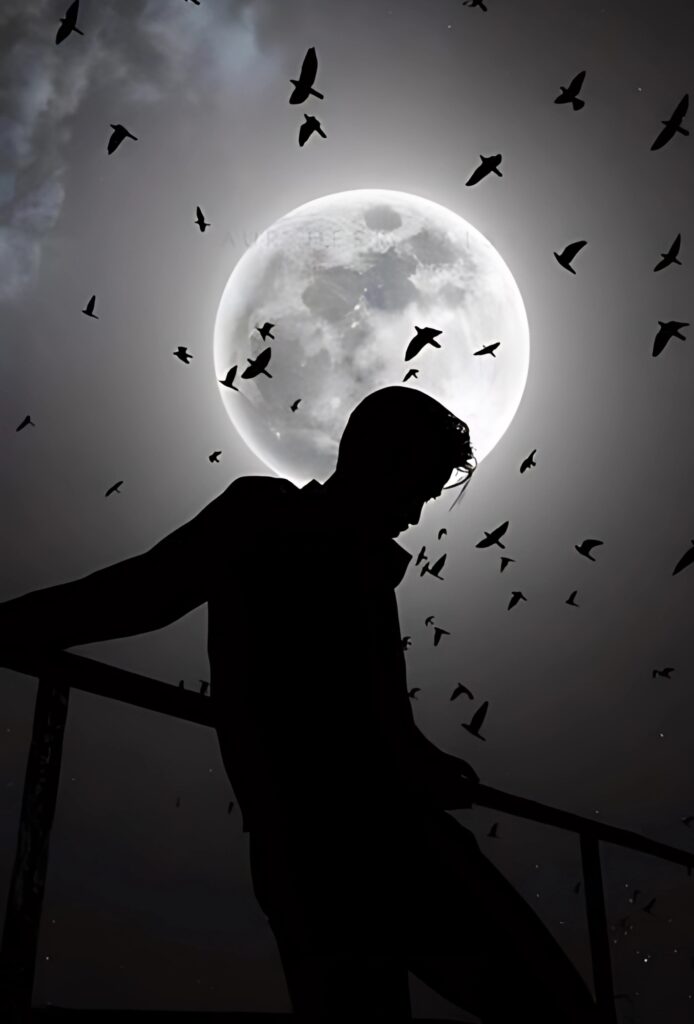 Lonely boy silhouette under full moon with flying birds – Sad Broken Heart Instagram DP