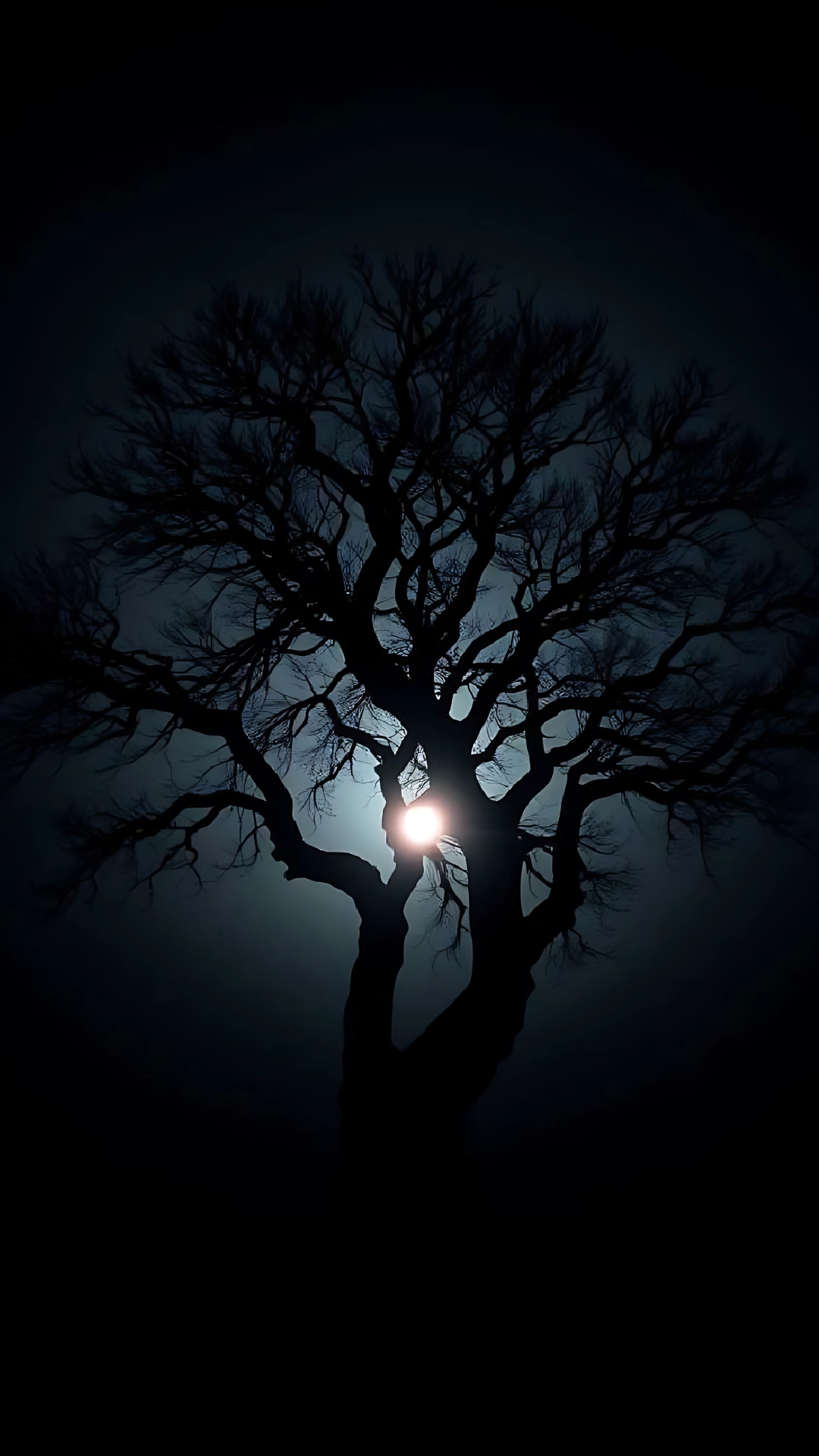 Dark wallpaper showing a bare tree silhouette with moonlight glowing through the branches